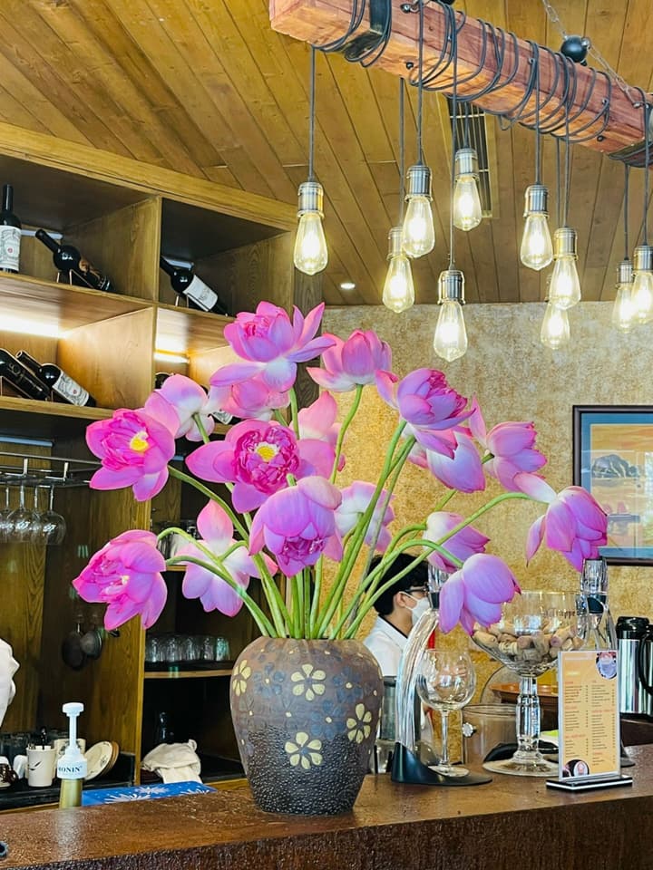 Draha Halong Hotel - Serenity, Charm and Nature - Preferred by Western Travelers