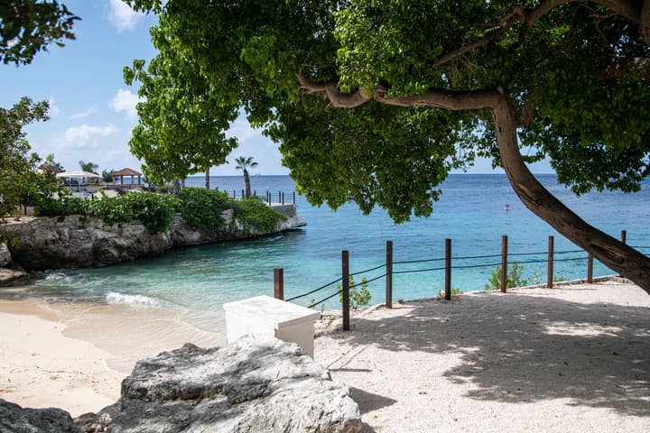 Dreams Curacao Resort, Spa & Casino - All Inclusive