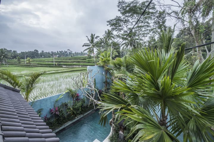 Villa Tanah Carik