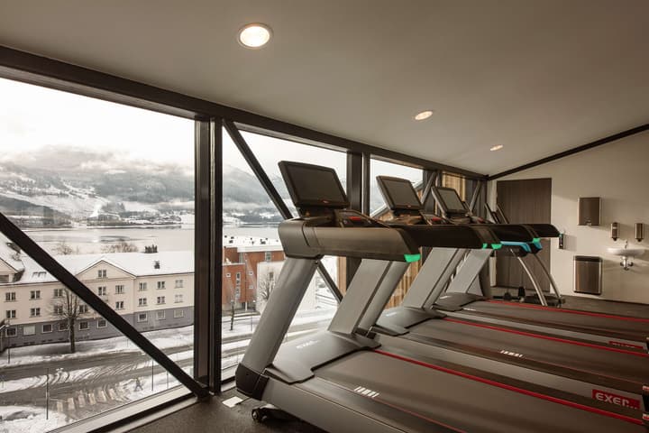 Scandic Voss
