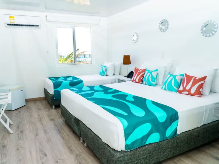 Caribbean Coral