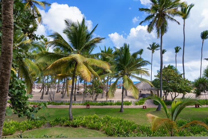 Iberostar Selection Coral Bávaro - All Inclusive