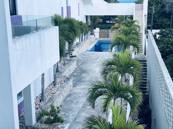 AMA Yucatan