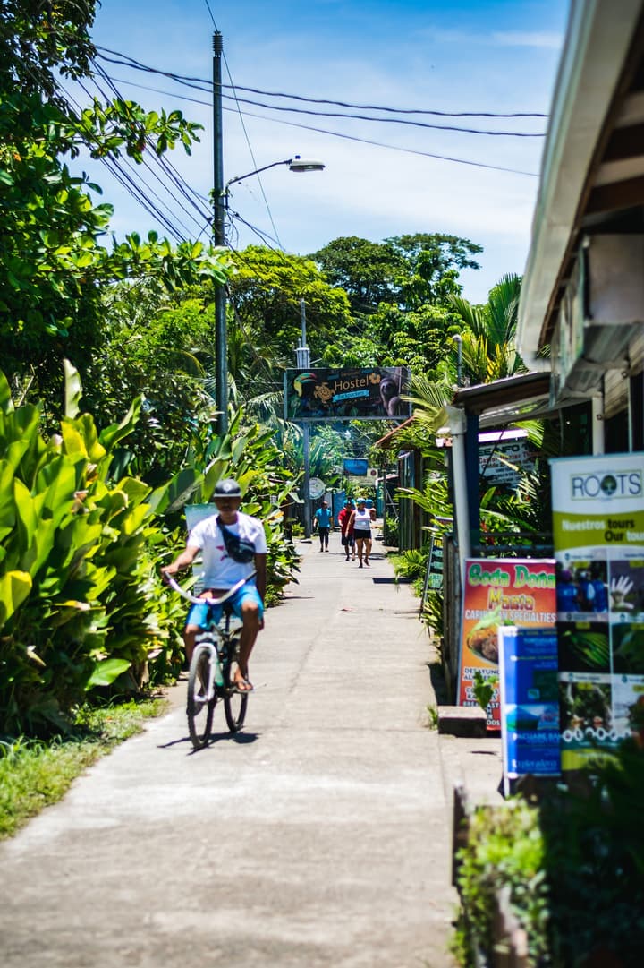 Hotel Tortuguero Beachfront