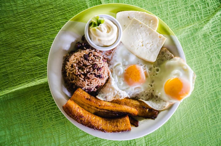 Hotel Tortuguero Beachfront