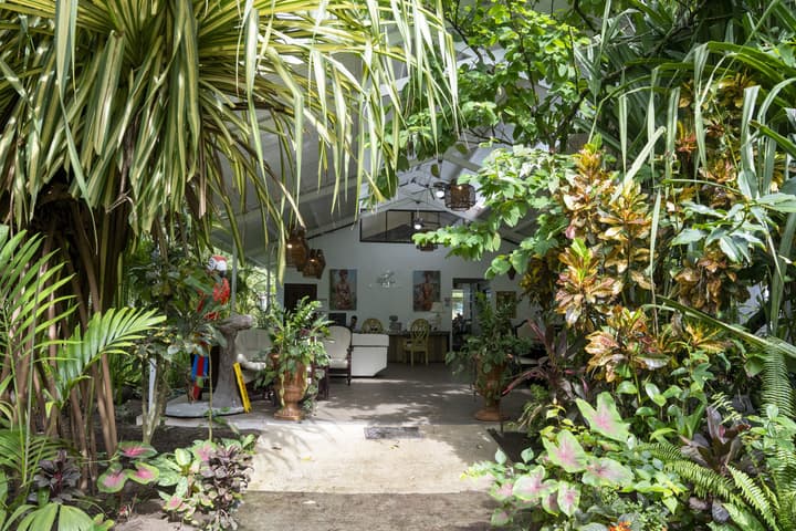 Hotel Tortuguero Beachfront