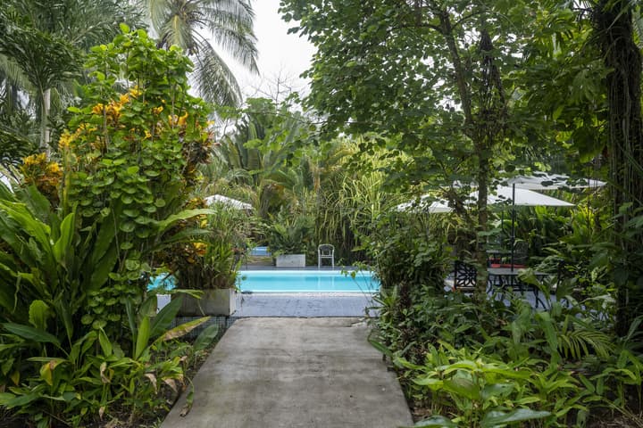 Hotel Tortuguero Beachfront