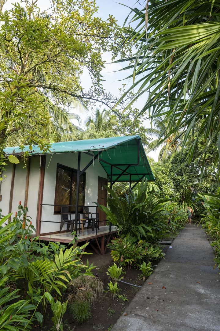 Hotel Tortuguero Beachfront