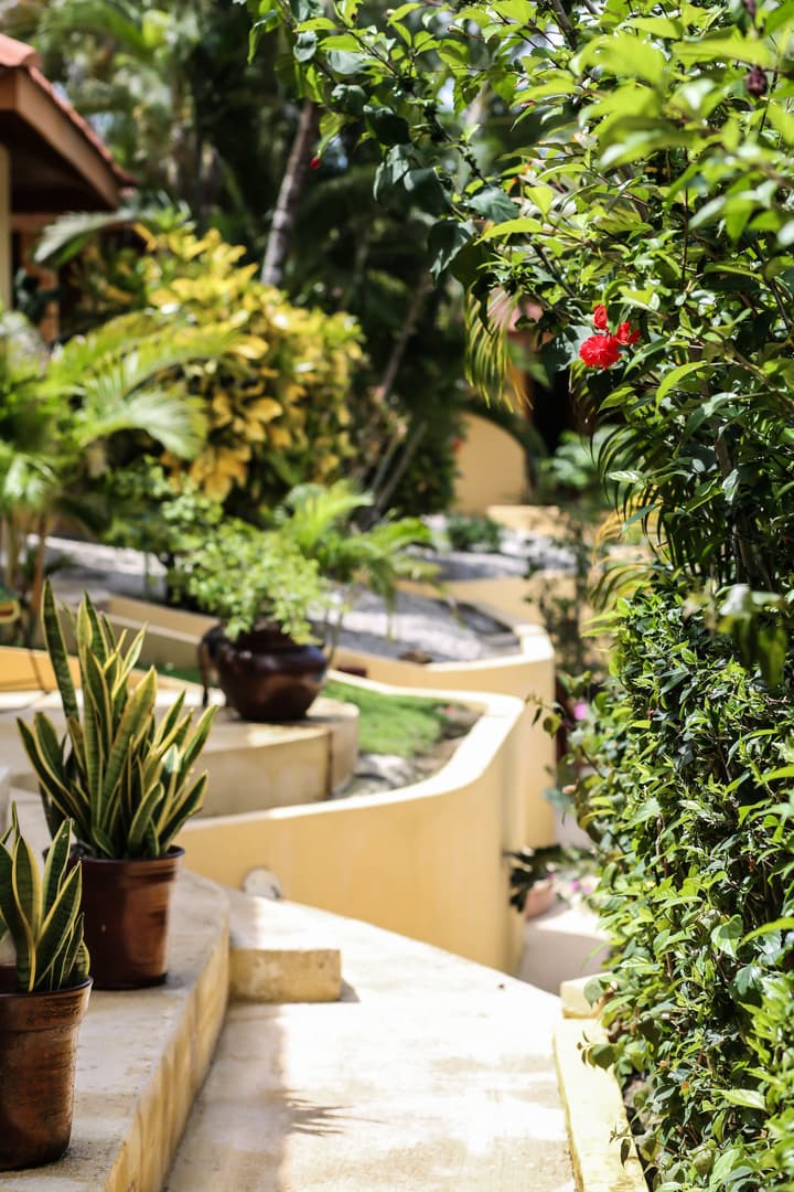 Ritmo Tropical Hotel
