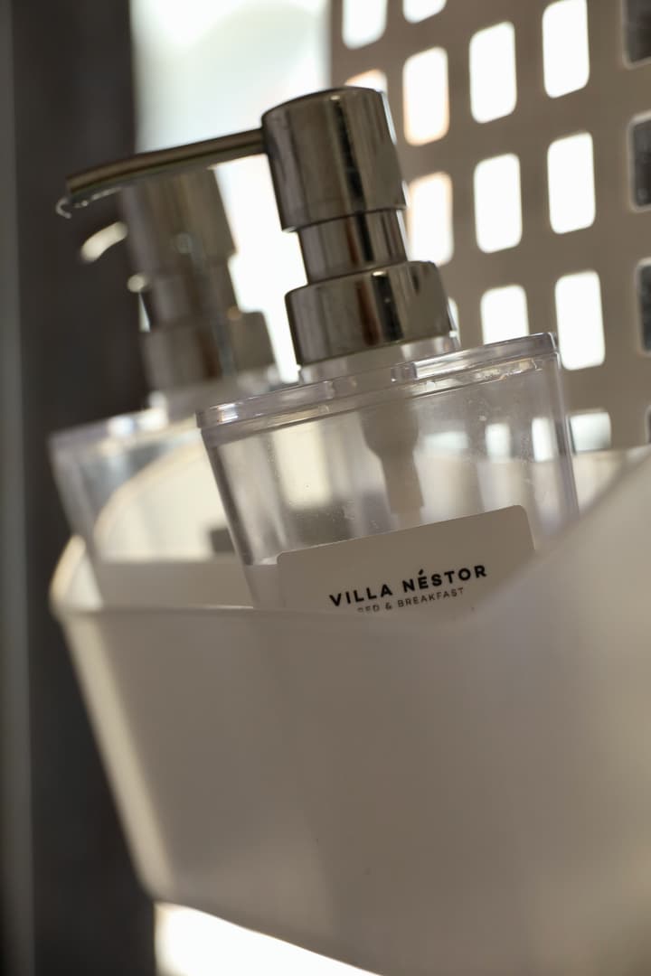 Villa Nestor