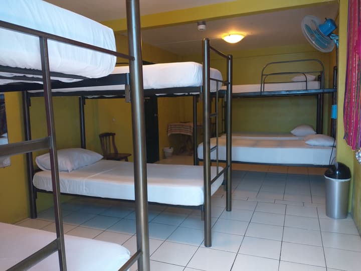 Dreamkapture Hostel