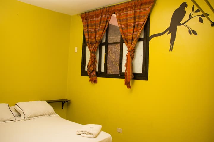 Dreamkapture Hostel