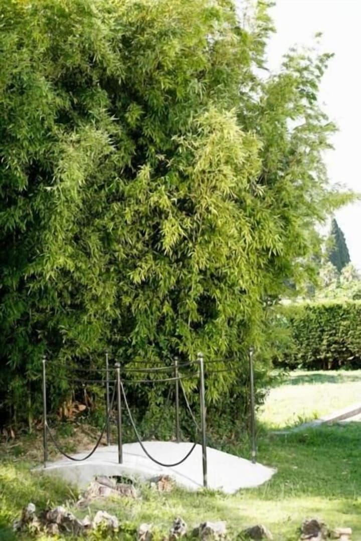 Hotel Du Bosquet