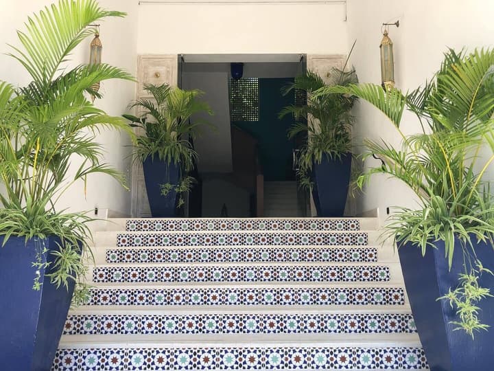 Medina Palms