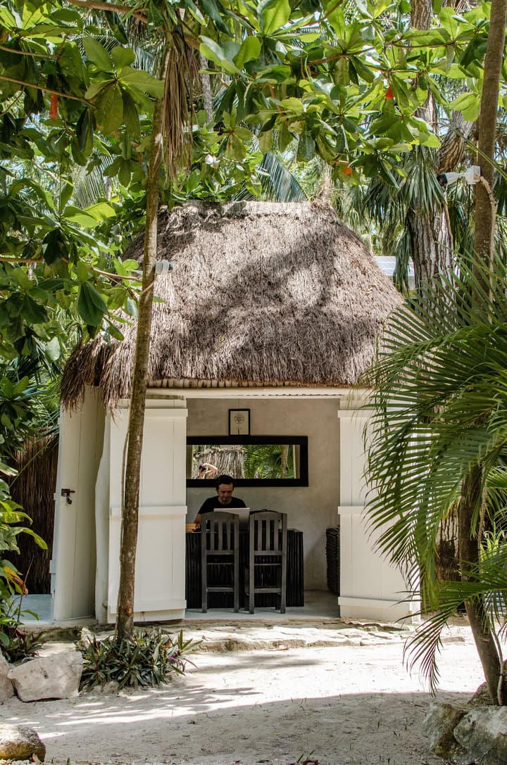 Nest Tulum