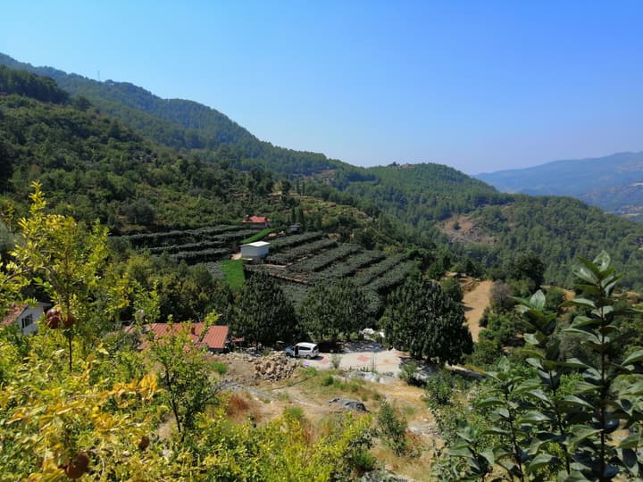 Avena Mountain Hotel - Adults Only