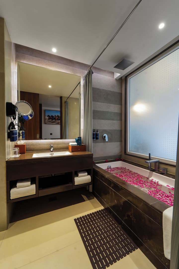 Radisson Blu Towers Kaushambi Delhi NCR