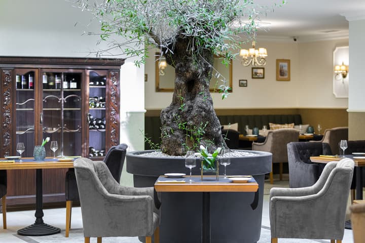 Ventus Rosa Boutique Aparthotel