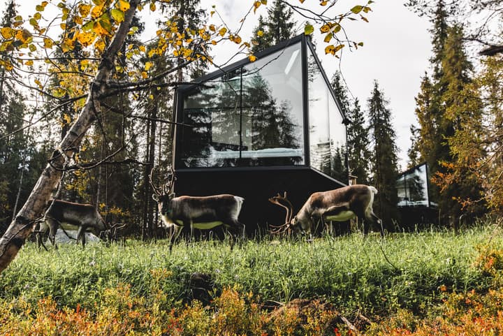 Magical Pond Nature Igloos