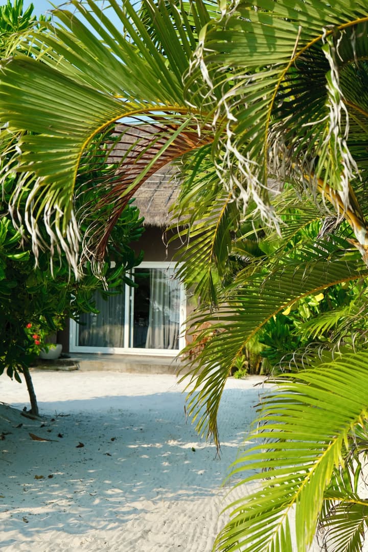 The Secret Garden Koh Rong