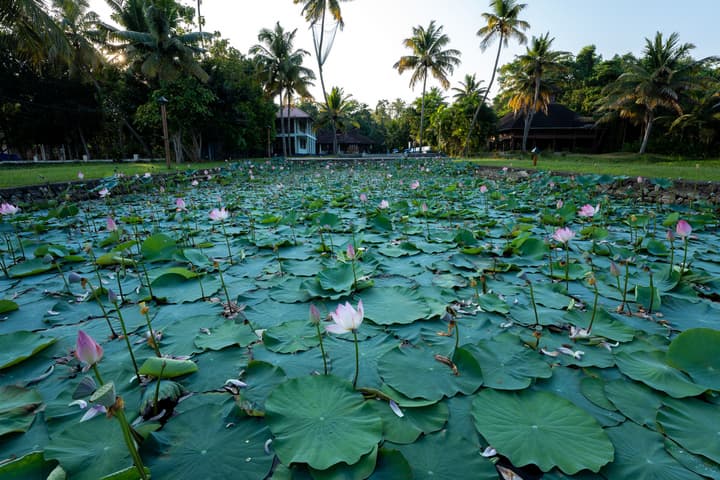 amã Stays & Trails Pathiramanal Villa, Alappuzha