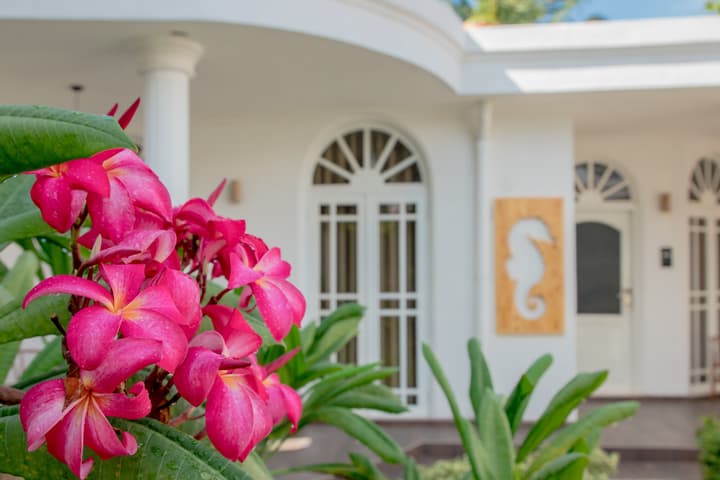Sea Horse Hotel and Spa