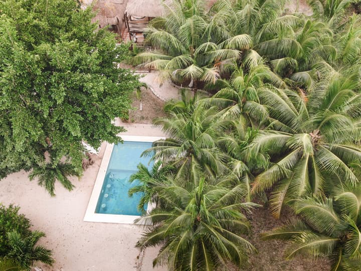 Royal Palm Bacalar Cabañas & Lagoon Club