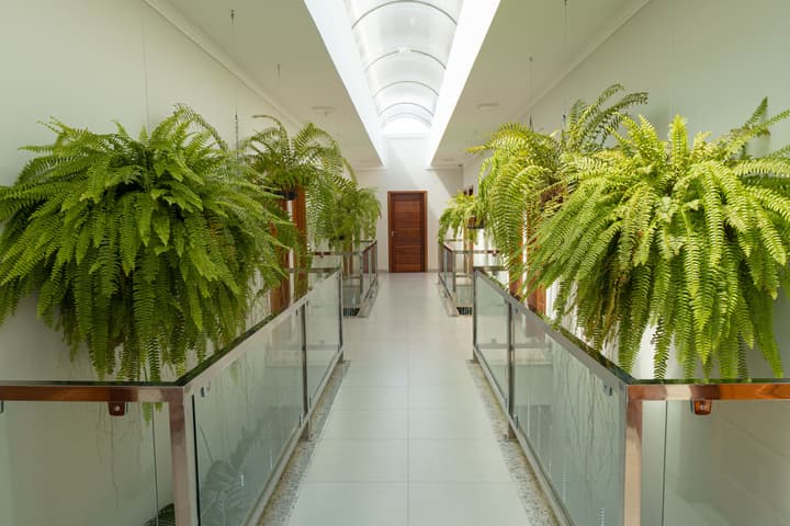 Orquídeas Praia Hotel