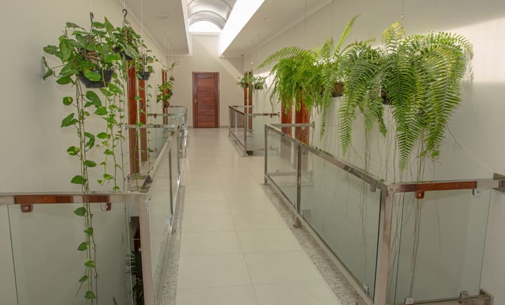 Orquídeas Praia Hotel