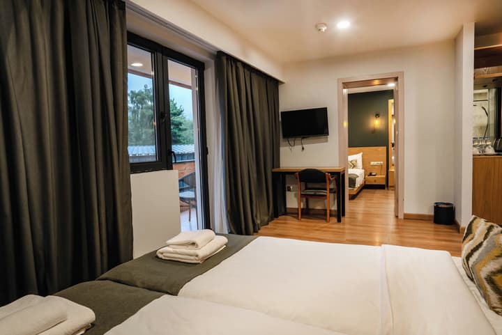 Bakuriani Inn