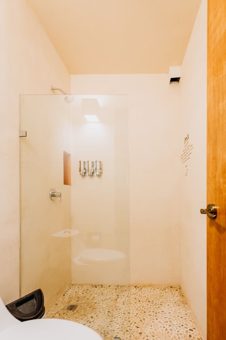 Waye Valladolid Centro – Sustainable, Authentic Experiences & Pet Friendly Boutique Hotel