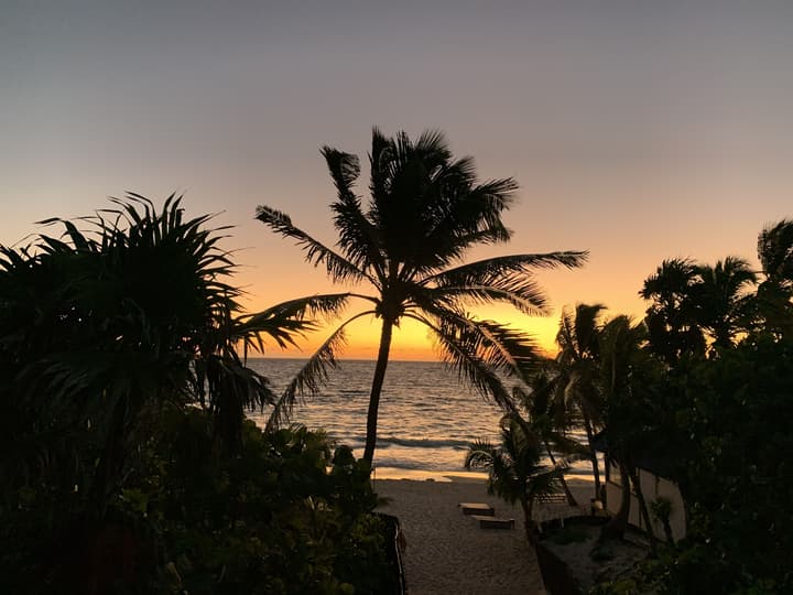 Libelula Tulum Beachfront Hotel