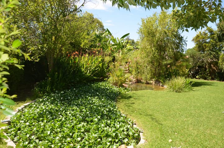 Sauvignon Country Lodge