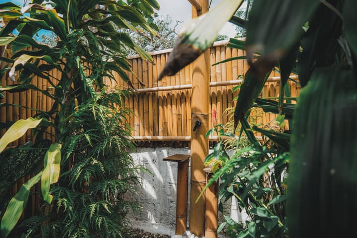 Penida Bambu Green Villas