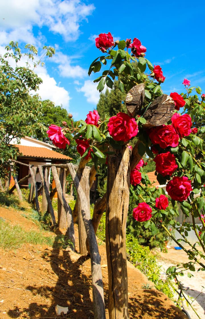 Agriturismo Millefiori