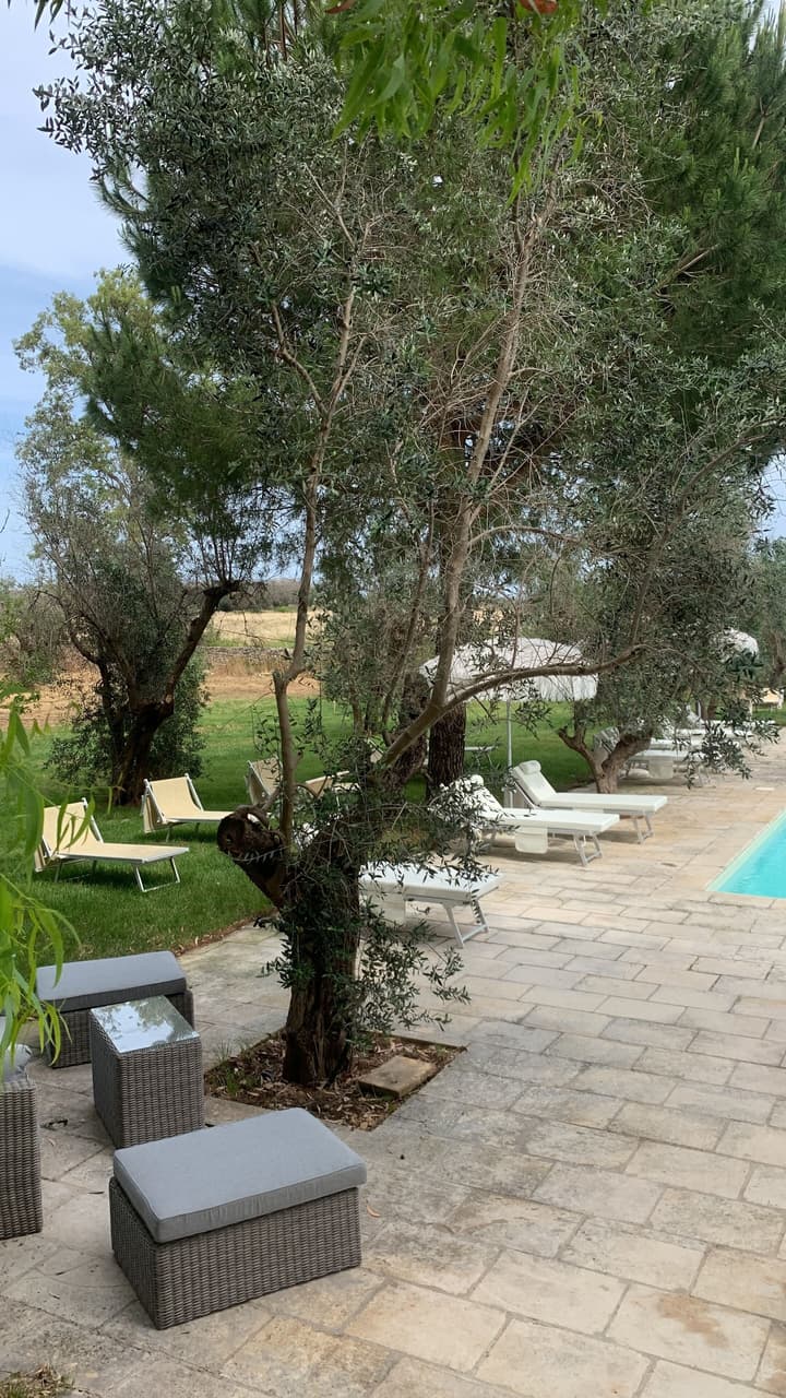 Tenuta Sidore