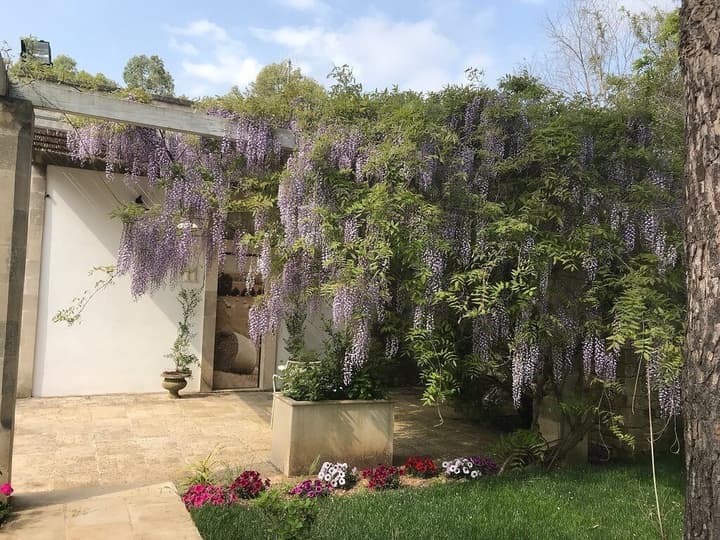 Tenuta Sidore