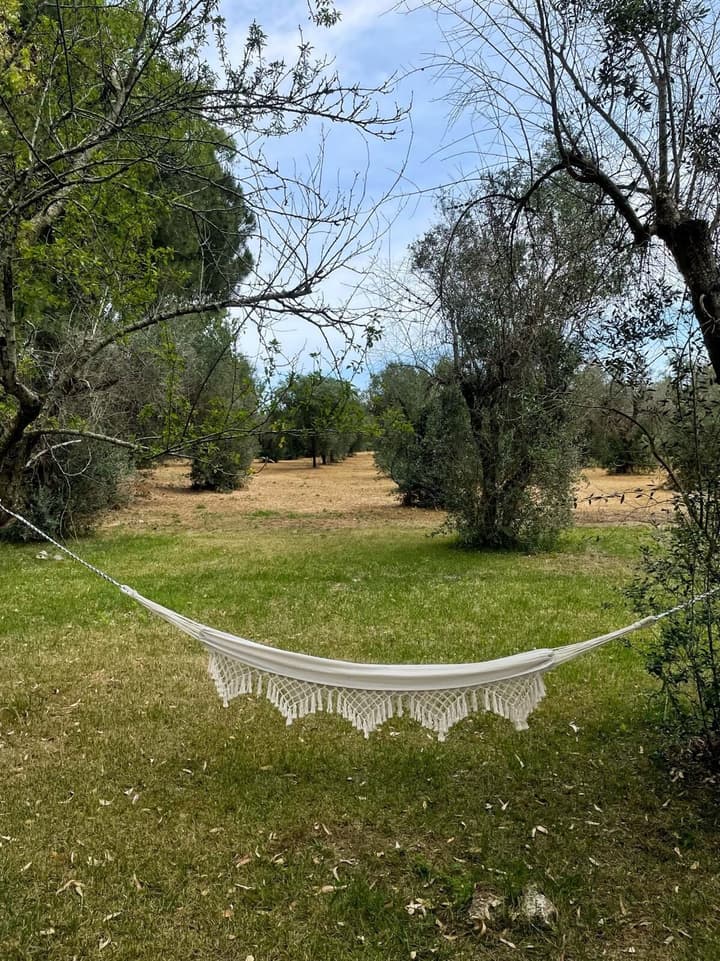 Tenuta Sidore