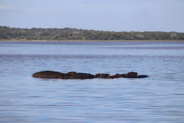 Montebelo Milibangalala Bay Resort