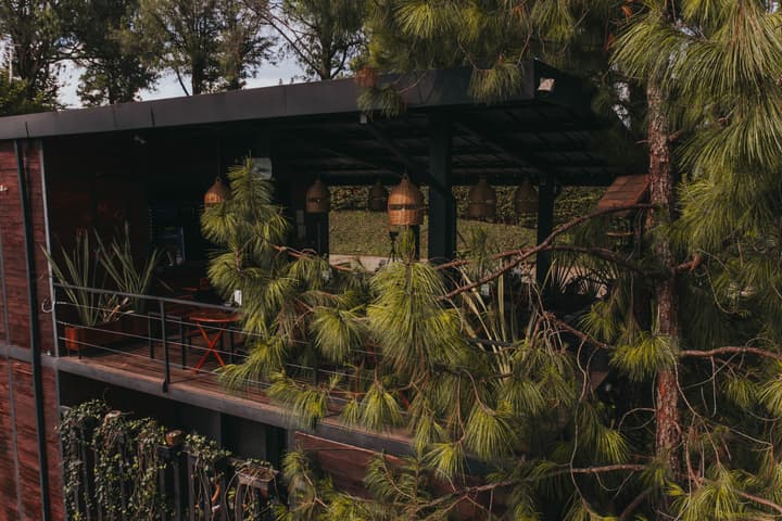 Domus Glamping