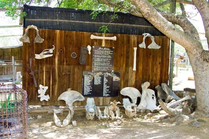 Sunbird Lodge