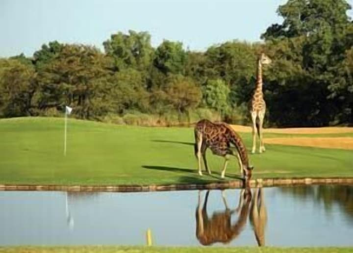 Sunbird Lodge