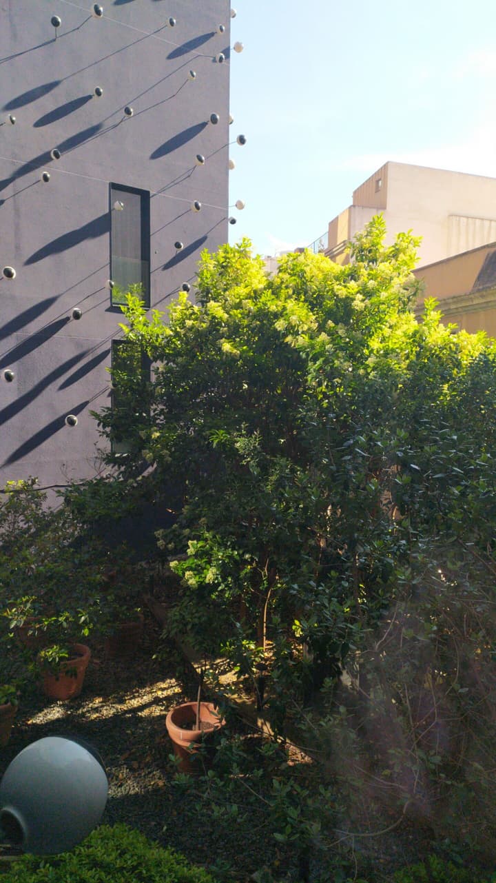 Ohla Barcelona