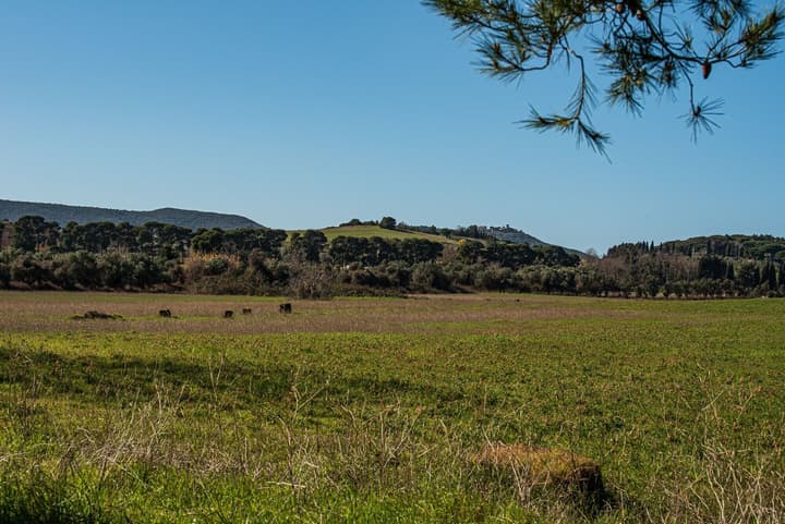 Poggio all'Agnello – Sport & Active Holidays
