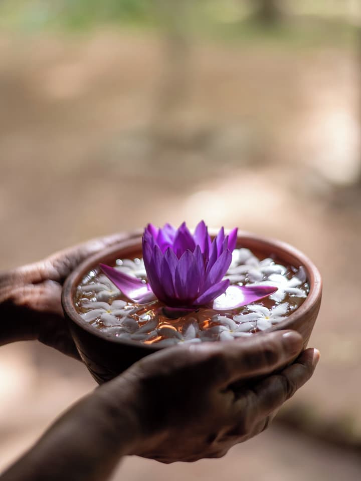 Sigiriya Village