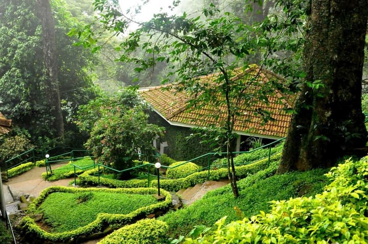 The Tall Trees Munnar