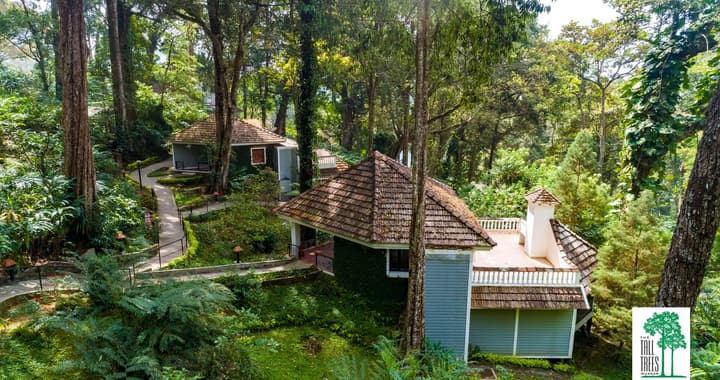The Tall Trees Munnar