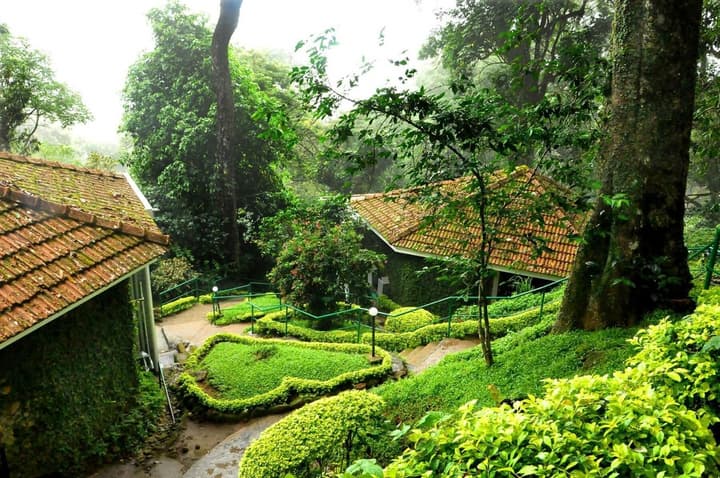The Tall Trees Munnar