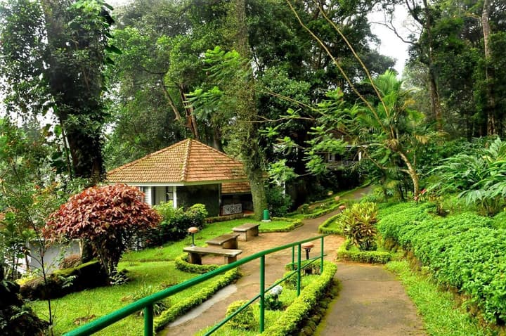The Tall Trees Munnar