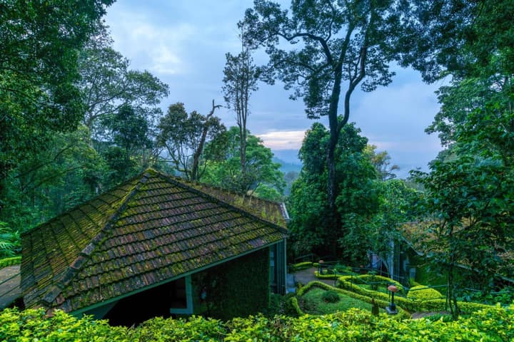 The Tall Trees Munnar